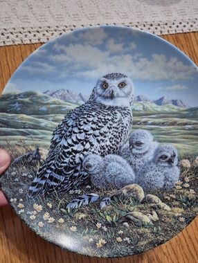 Knowles White and Black Arctic Spring: Snowy Owls Commemorative Plate 1992